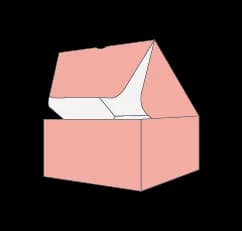 4 corner tray tuck top